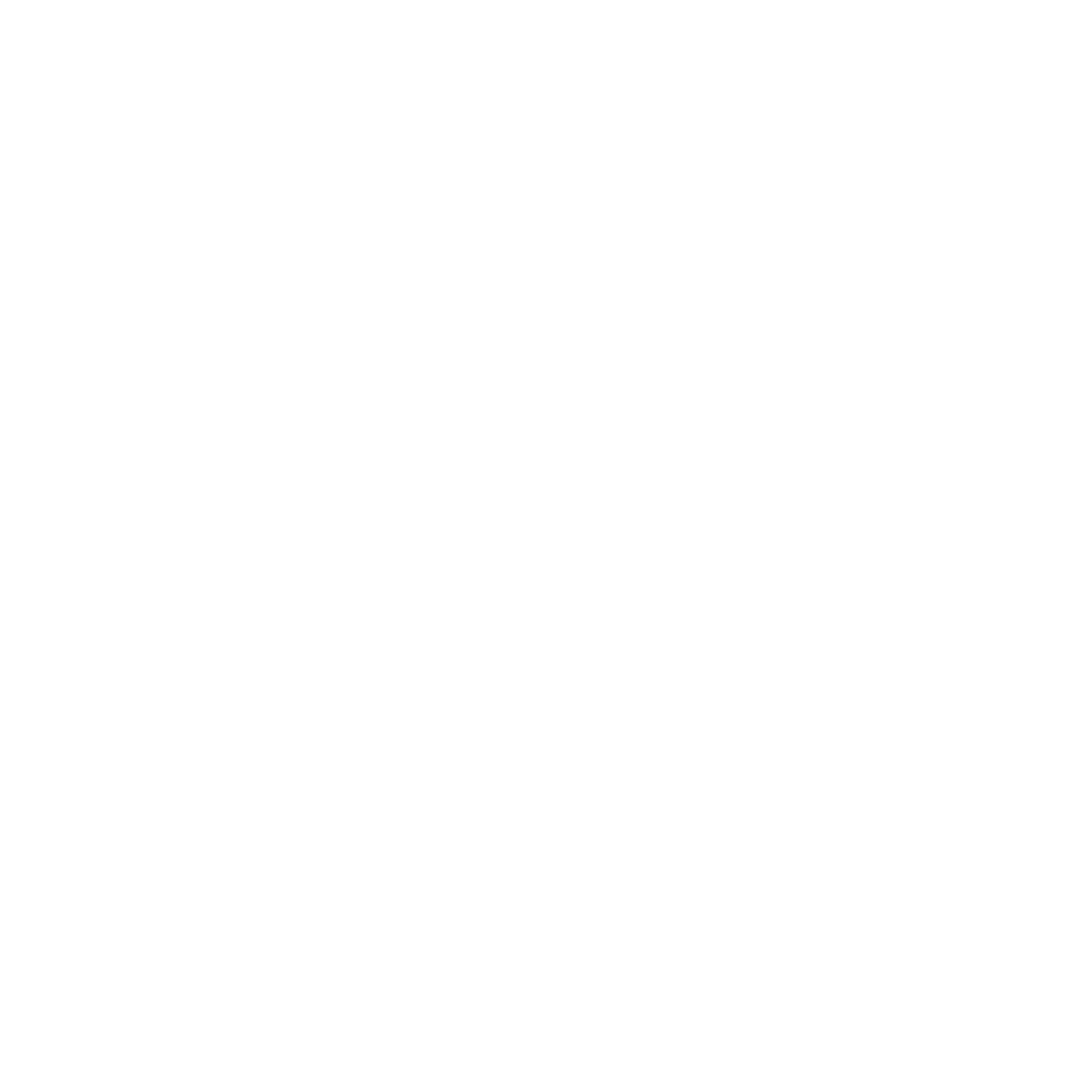 NEROPI Logo